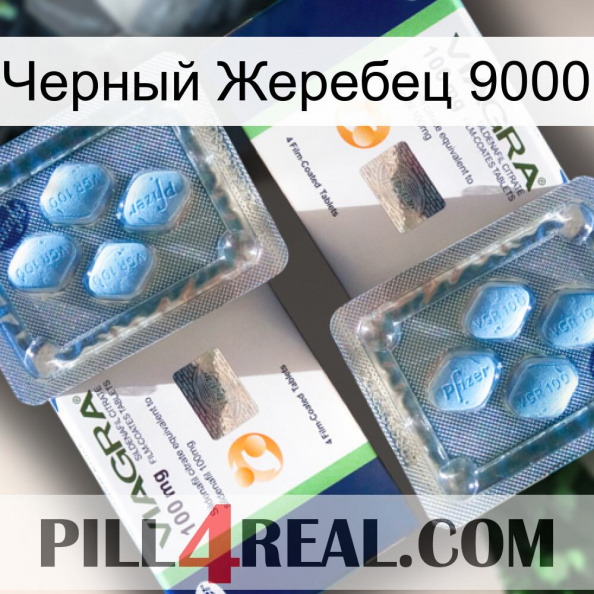 Черный Жеребец 9000 viagra5.jpg